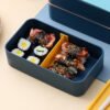 Separate Picnic Box Heated Bento Box